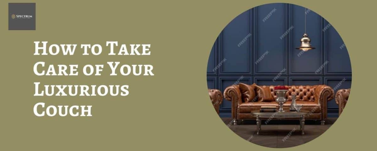 How to Take Care of Your Luxurious Couch
